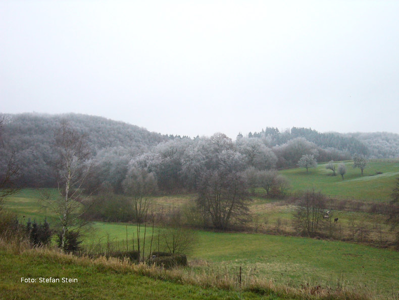 Blick ins Tal bei Frost
