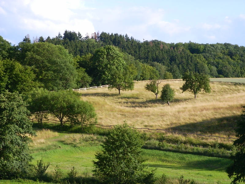 Tal im Sommer Tal im Sommer