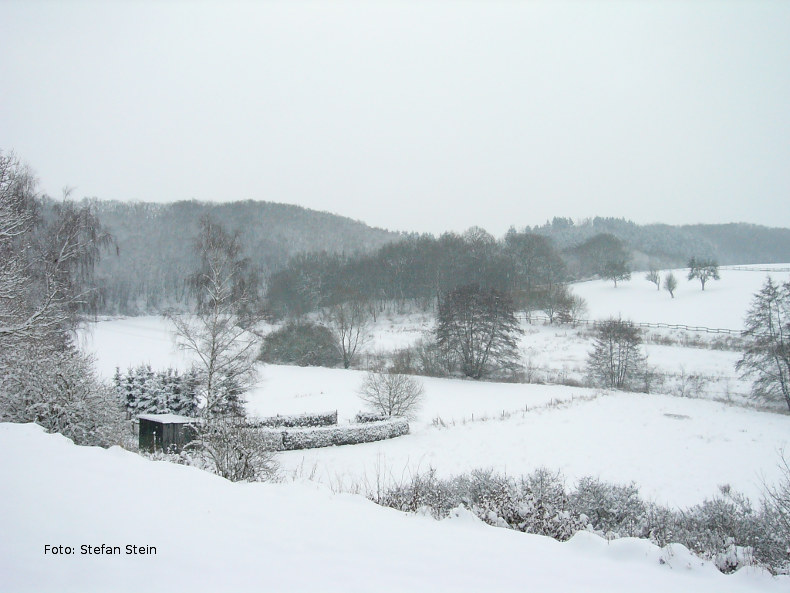 Blick ins Tal im Winter